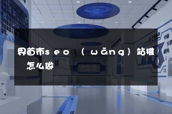 界首市seo網(wǎng)站推廣怎么做