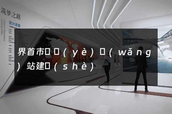 界首市專業(yè)網(wǎng)站建設(shè)
