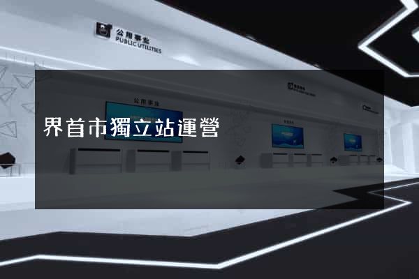 界首市獨立站運營