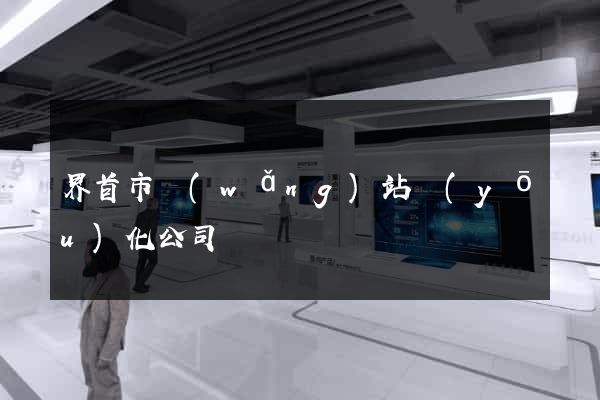 界首市網(wǎng)站優(yōu)化公司