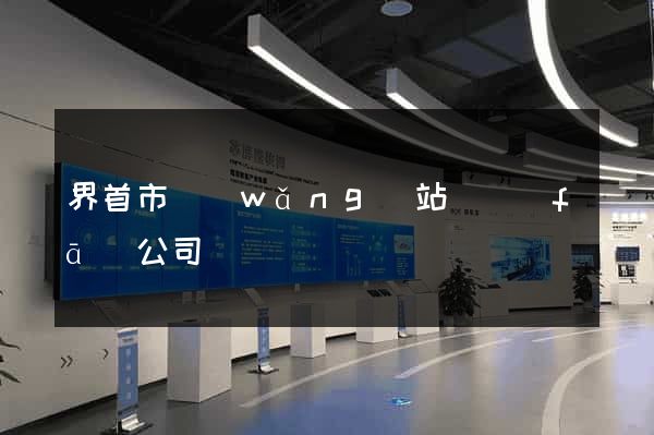 界首市網(wǎng)站開發(fā)公司
