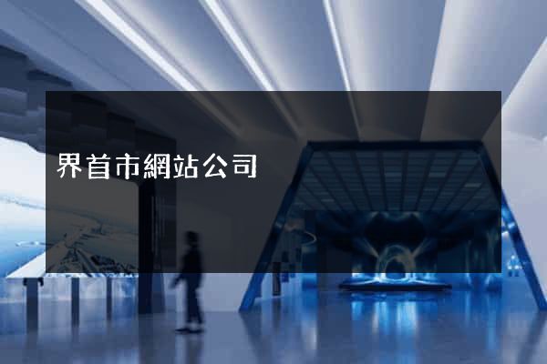 界首市網站公司