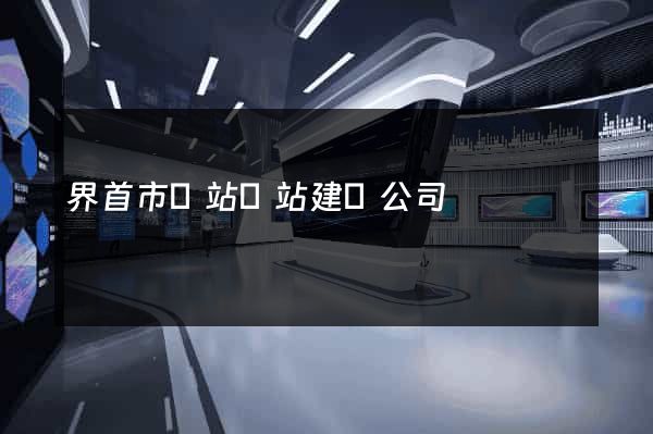 界首市網站網站建設公司