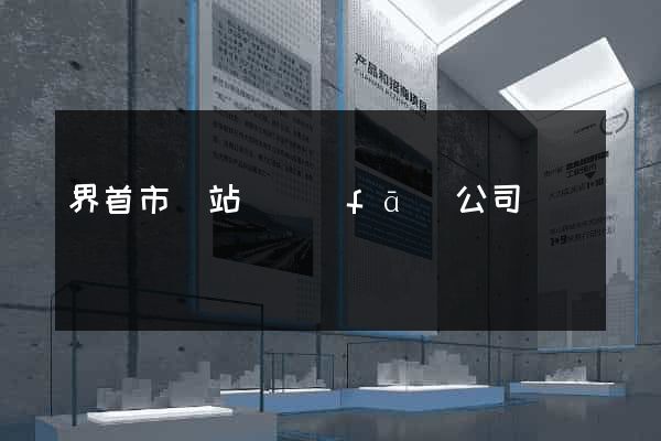 界首市網站開發(fā)公司