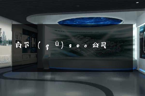 白下區(qū)seo公司