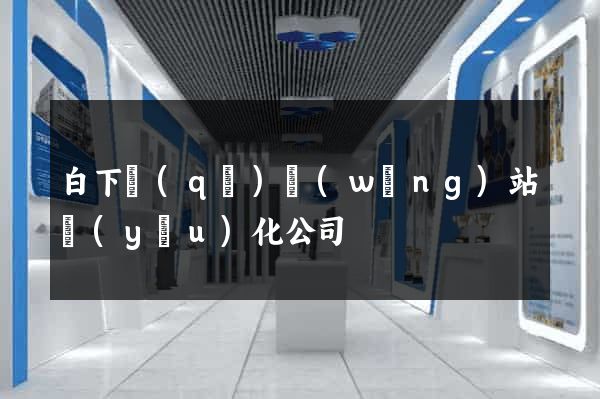 白下區(qū)網(wǎng)站優(yōu)化公司