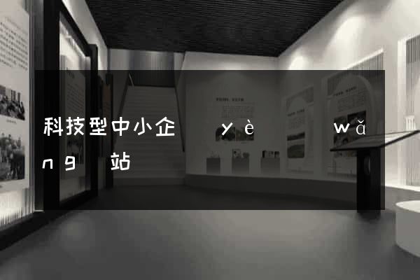 科技型中小企業(yè)網(wǎng)站