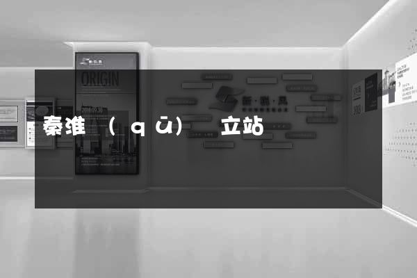 秦淮區(qū)獨立站運營