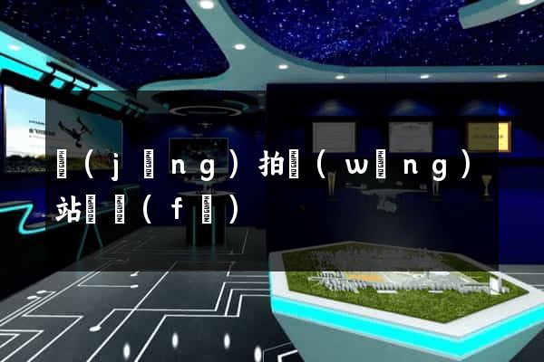 競(jìng)拍網(wǎng)站開發(fā)