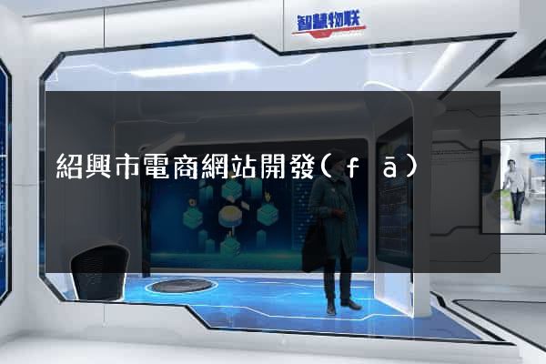 紹興市電商網站開發(fā)