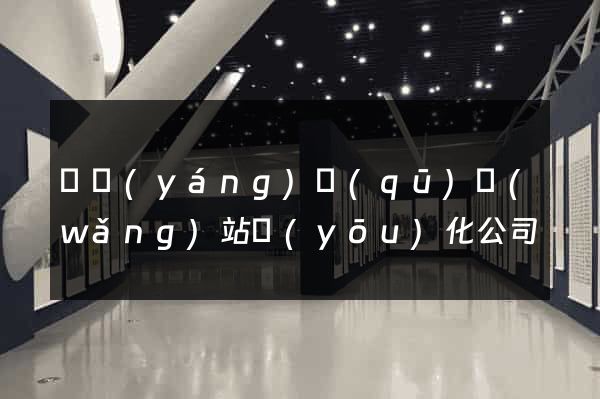 維揚(yáng)區(qū)網(wǎng)站優(yōu)化公司