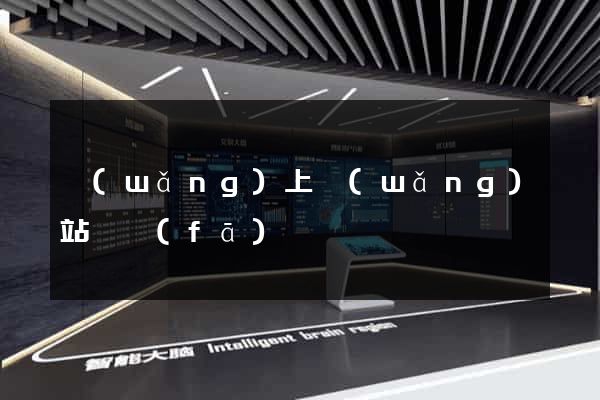 網(wǎng)上網(wǎng)站開發(fā)