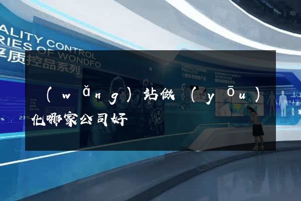 網(wǎng)站做優(yōu)化哪家公司好