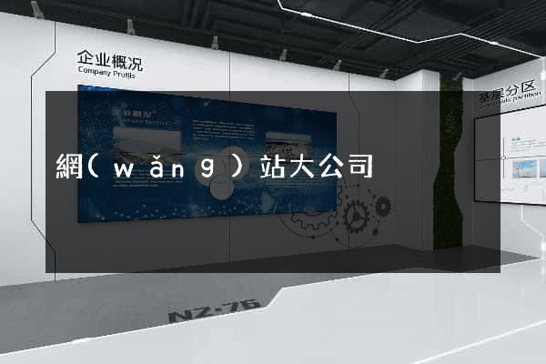 網(wǎng)站大公司