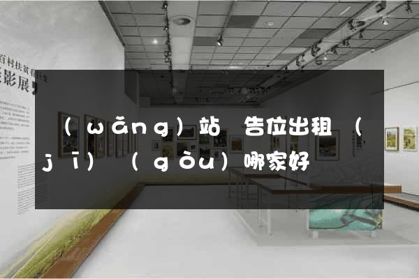 網(wǎng)站廣告位出租機(jī)構(gòu)哪家好