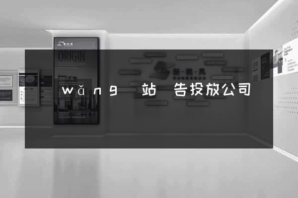 網(wǎng)站廣告投放公司