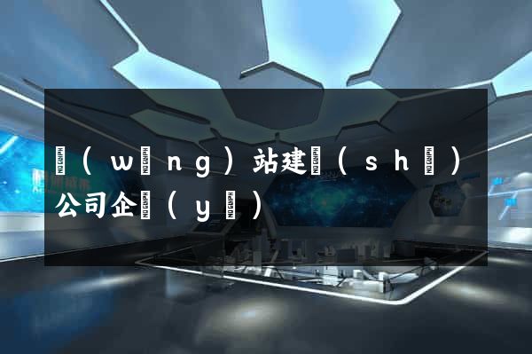 網(wǎng)站建設(shè)公司企業(yè)