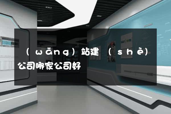 網(wǎng)站建設(shè)公司哪家公司好