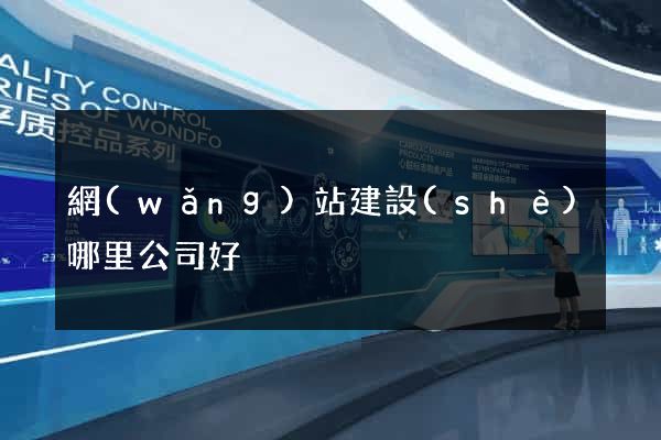 網(wǎng)站建設(shè)哪里公司好