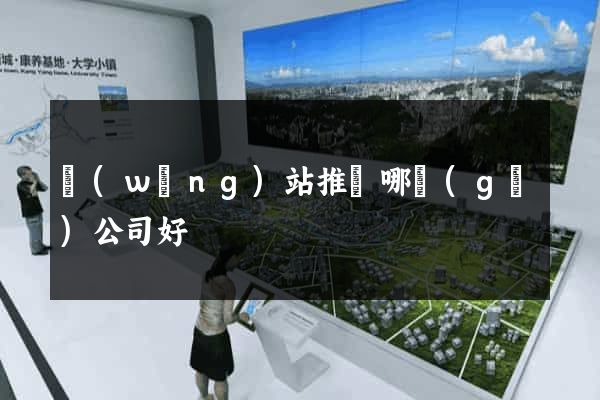 網(wǎng)站推廣哪個(gè)公司好