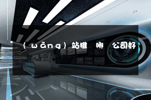 網(wǎng)站推廣哪個公司好