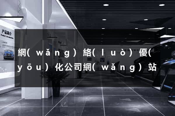 網(wǎng)絡(luò)優(yōu)化公司網(wǎng)站