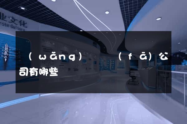 網(wǎng)頁開發(fā)公司有哪些