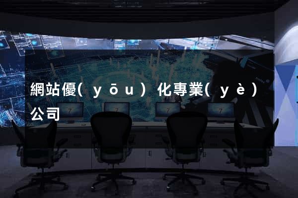 網站優(yōu)化專業(yè)公司