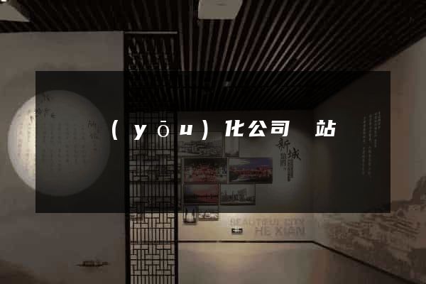 網絡優(yōu)化公司網站