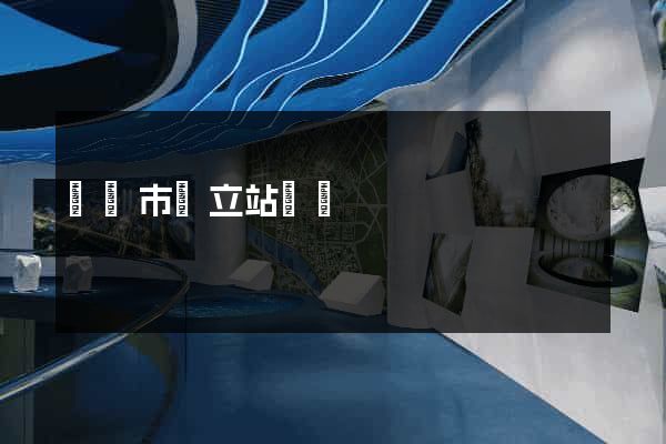 義烏市獨立站運營