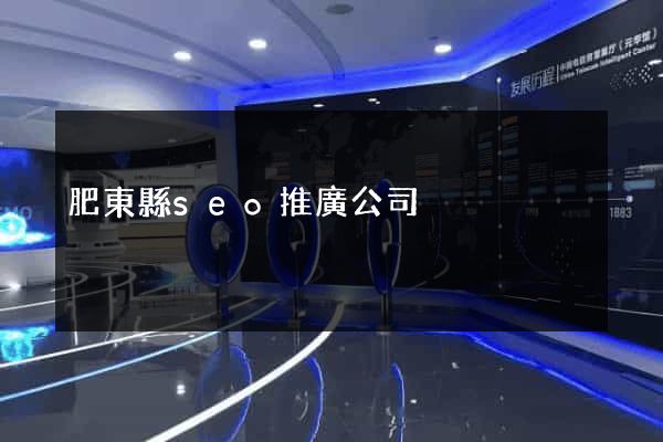 肥東縣seo推廣公司
