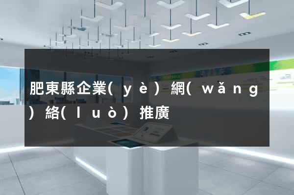 肥東縣企業(yè)網(wǎng)絡(luò)推廣