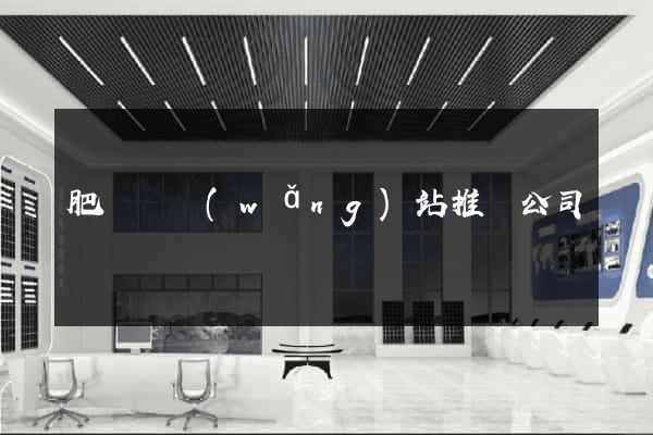 肥東縣網(wǎng)站推廣公司