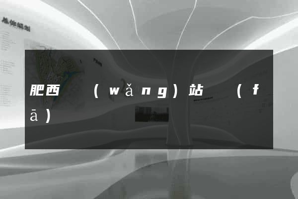肥西縣網(wǎng)站開發(fā)