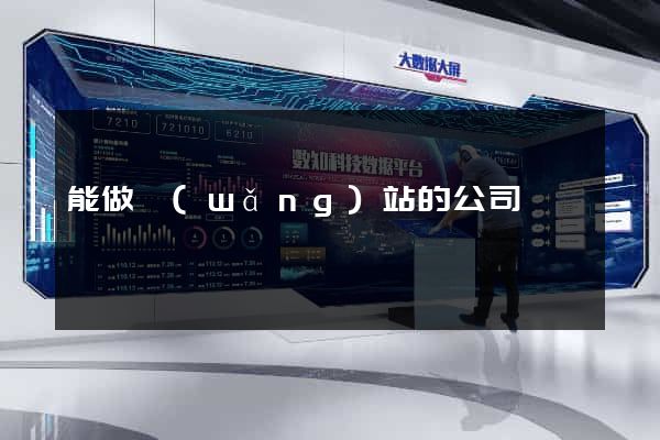 能做網(wǎng)站的公司