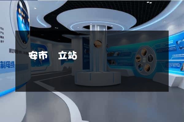 臨安市獨立站運營
