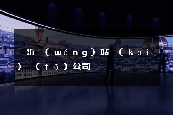 臨沂網(wǎng)站開(kāi)發(fā)公司