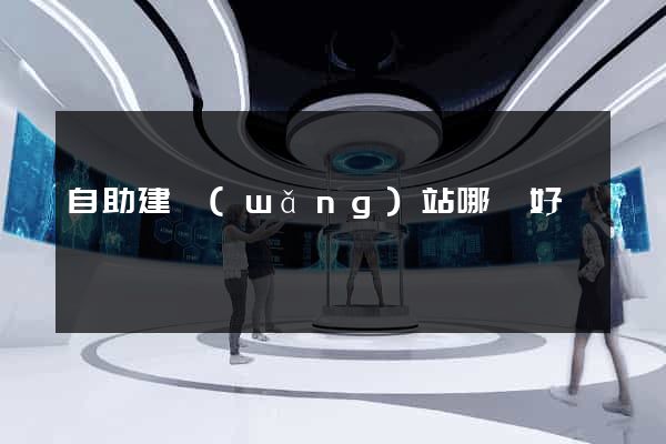 自助建網(wǎng)站哪個好