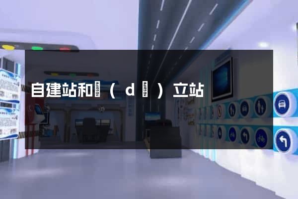 自建站和獨(dú)立站