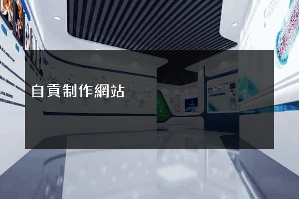 自貢制作網站
