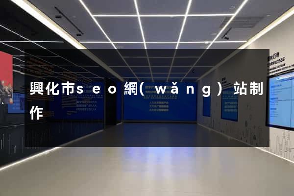 興化市seo網(wǎng)站制作