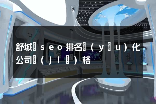 舒城縣seo排名優(yōu)化公司價(jià)格