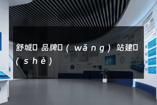 舒城縣品牌網(wǎng)站建設(shè)