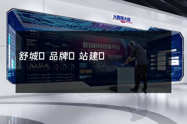 舒城縣品牌網站建設
