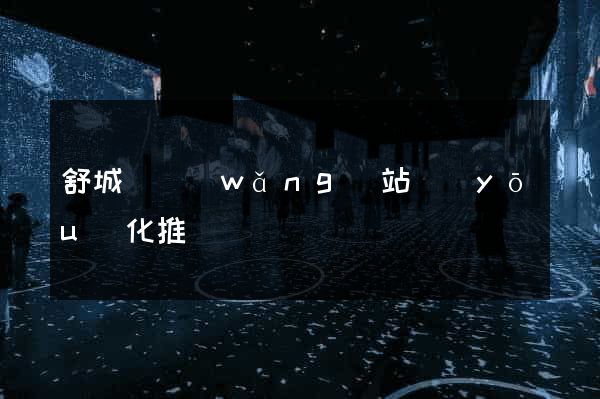 舒城縣網(wǎng)站優(yōu)化推廣