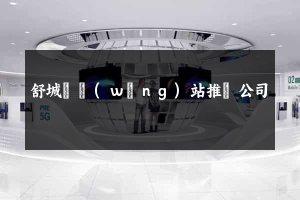 舒城縣網(wǎng)站推廣公司