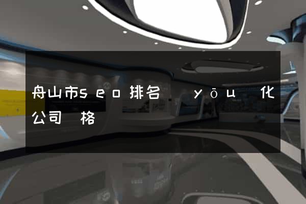 舟山市seo排名優(yōu)化公司價格