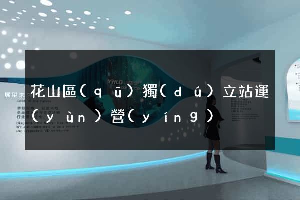 花山區(qū)獨(dú)立站運(yùn)營(yíng)