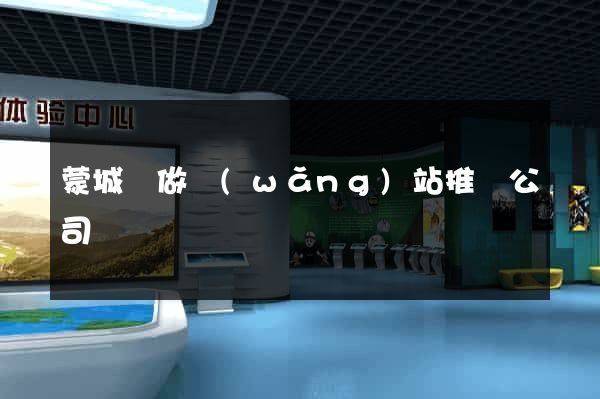 蒙城縣做網(wǎng)站推廣公司
