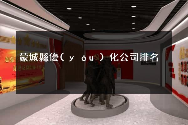 蒙城縣優(yōu)化公司排名